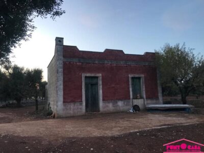 Casale in pietra da ristrutturare con uliveto secolare e possibilità di ampliamento e piscina
