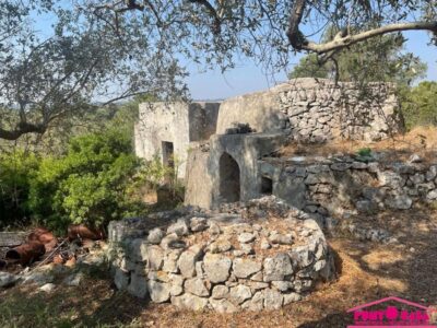 Rustica lamia panoramica da riscoprire