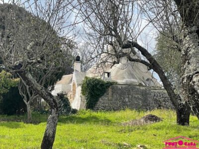 Autentico trullo con Lamia e camino da riscoprire
