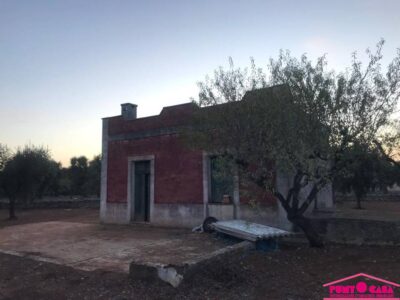 Casale in pietra da ristrutturare con uliveto secolare e possibilità di ampliamento e piscina