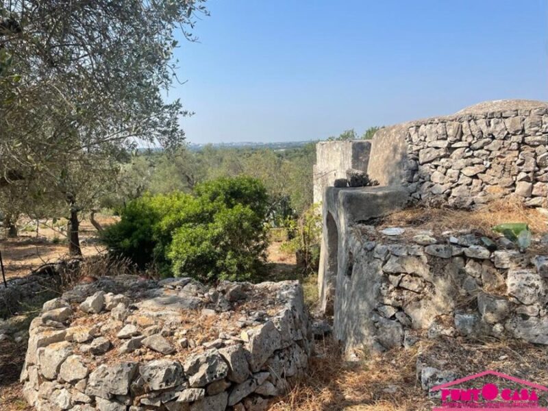 Rustica lamia panoramica da riscoprire