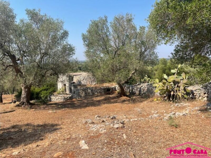 Rustica lamia panoramica da riscoprire