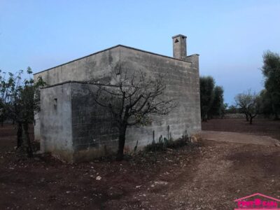 Casale in pietra da ristrutturare con uliveto secolare e possibilità di ampliamento e piscina