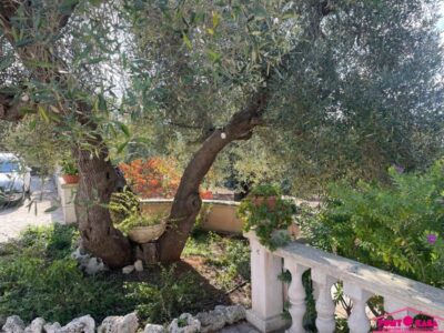 Villa con Trullo saraceno