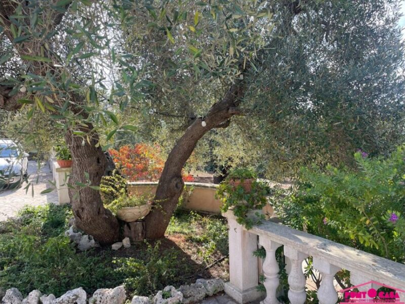 Villa con Trullo saraceno