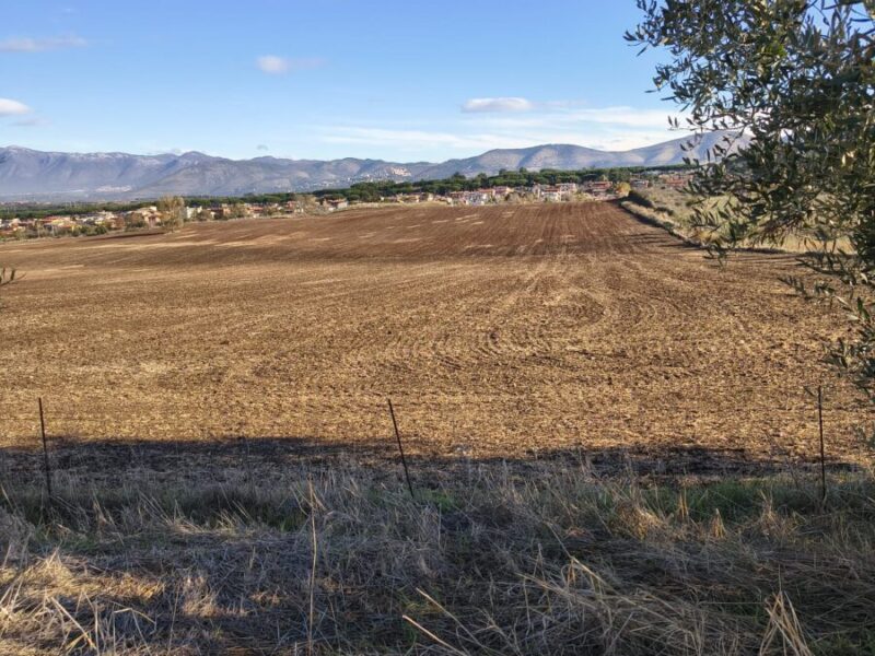 Terreno irrigato, recintato, cancello automatico